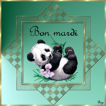 Mardi